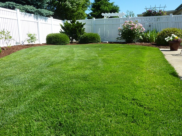 maintenance free fencing, healthy lawns, landscaping, privacy fence